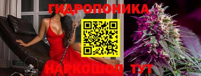 a pvp Вышний Волочёк