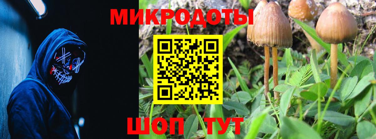 Галлюциногенные грибы GOLDEN TEACHER Воскресенск